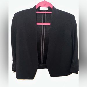 Babaton Aritzia Black Power Blazer